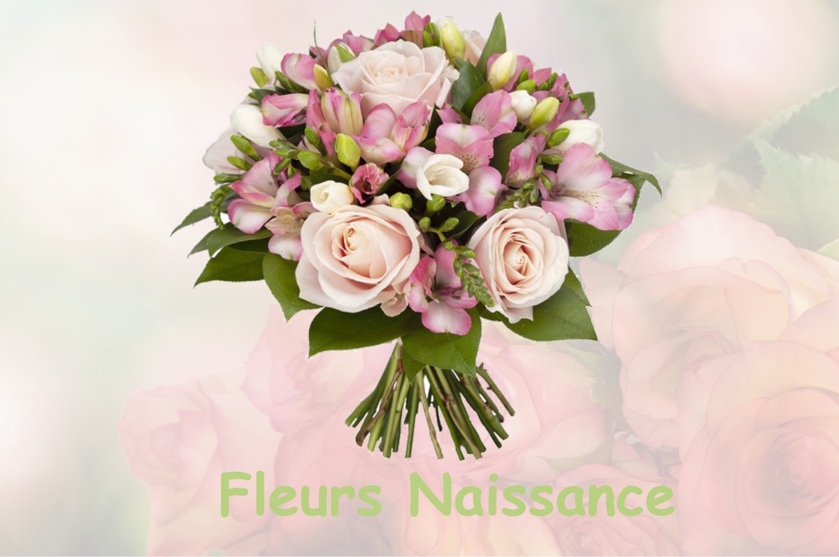 fleurs naissance BOURG-SAINT-BERNARD